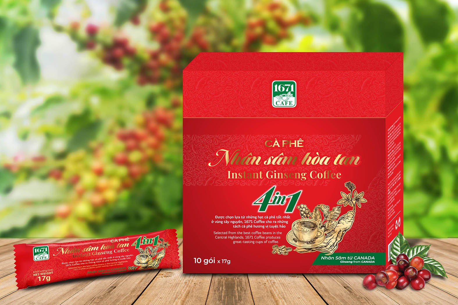 ca phe hoa tan nhan sam