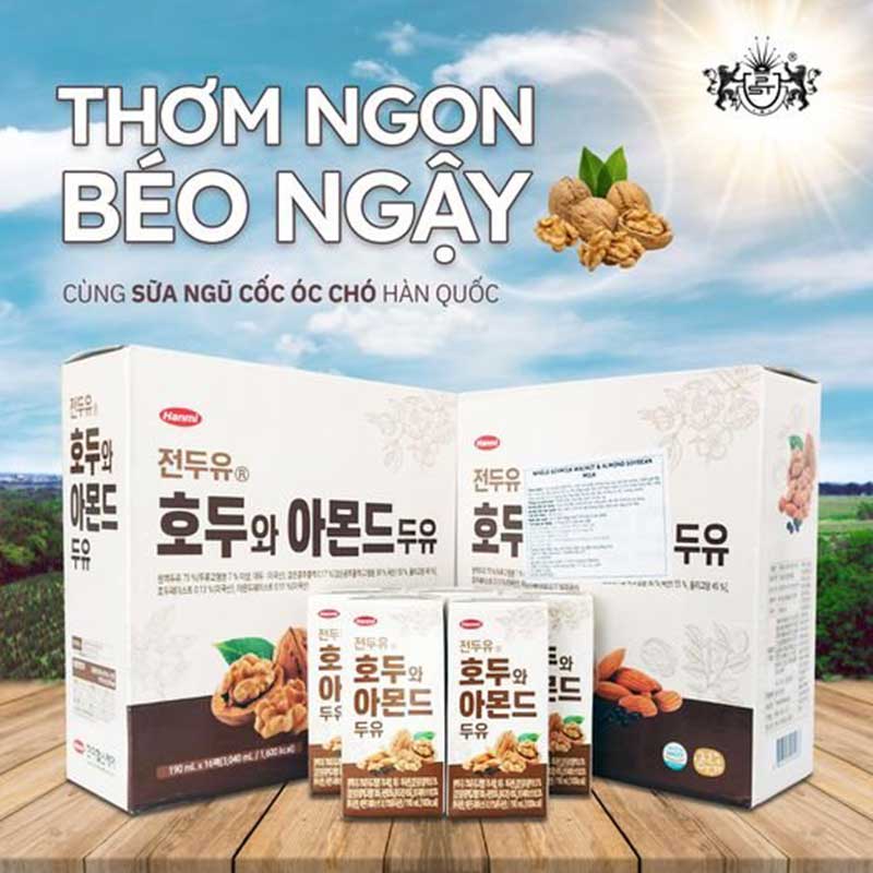 sua-ngu-coc-oc-cho-HANMI